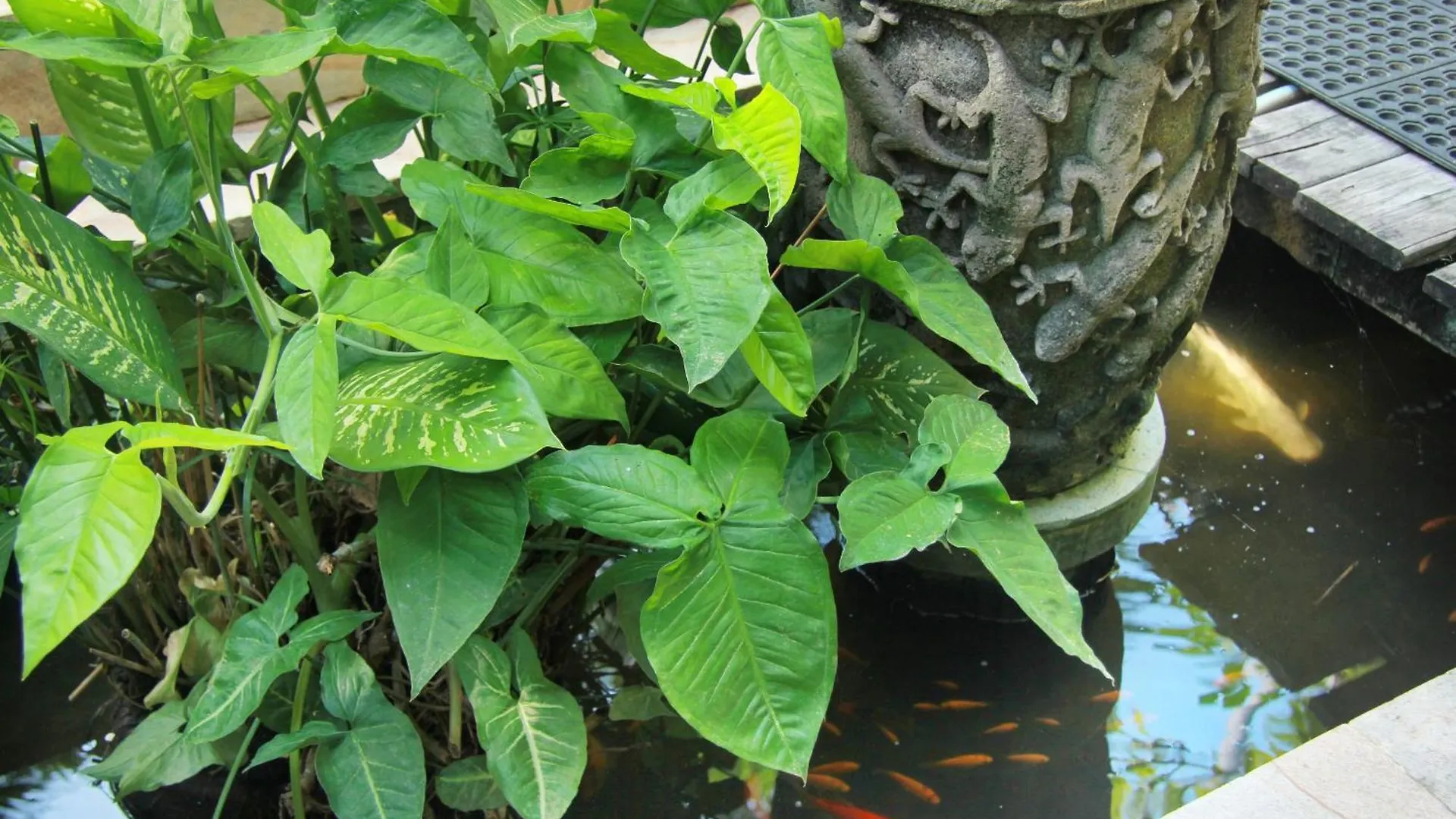 The Chand Villa - A Hidden Gem In Petitenget Seminyak